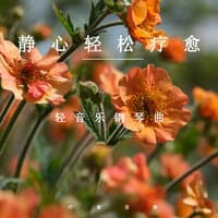 静心轻松疗愈轻音乐钢琴曲