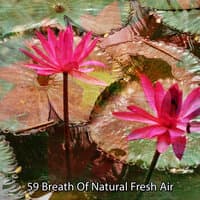 59 Breath Of Natural Fresh Air