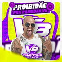 Proibidão pra Paredão VB