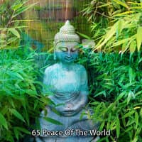 65 Peace Of The World