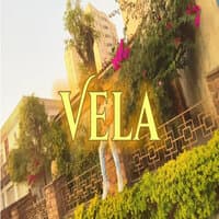 Vela