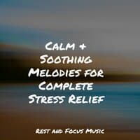 Calm & Soothing Melodies for Complete Stress Relief