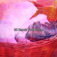 80 Repair Your Sleep