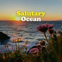 Salutary Ocean