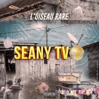 Seany Tv