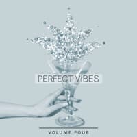 Perfect Vibes, Vol. 4