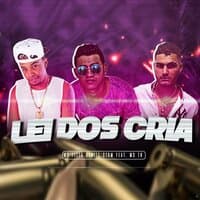 Lei dos Cria  (Brega Funk)