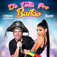 De Volta pro Bailão (Arrochadeira)