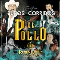 Puros Corridos (El Pollo)