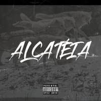 Alcatéia