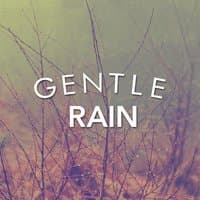 Gentle Rain