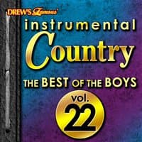 Instrumental Country: The Best of the Boys, Vol. 22