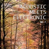 Acoustic Meets Electronic, Vol. 1