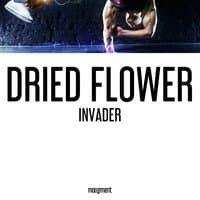 Invader