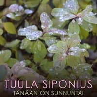 Tänään On Sunnuntai