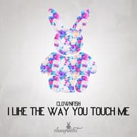 I Like the Way You Touch Me