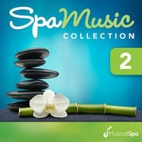 Spa Music Collection 2: Relaxing Music for Spa, Massage, Relaxation, New Age and Healing