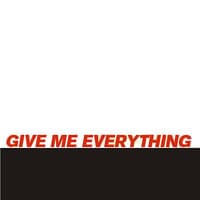 Give Me Everything - Single