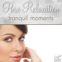 Pure Relaxation: Tranquil Moments