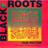 Dub Factor 1 - The Mad Professor Mixes