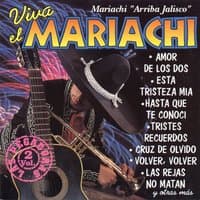 Viva el Mariachi las Pegadoras Vol. 2