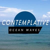 Contemplative Ocean Waves