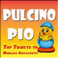 Pulcino Pio