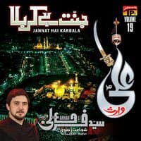 Jannat Hai Karbala, Vol. 19