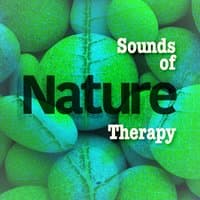 Sounds of Nature: Therapy