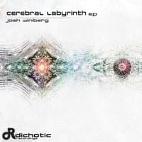 Cerebral Labyrinth