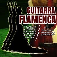 Guitarra Flamenca