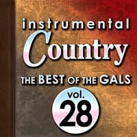 Instrumental Country: The Best of the Gals, Vol. 28