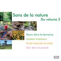 Sons De La Nature Du Volume 3