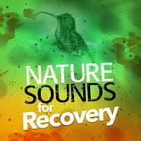 Nature Sounds for Recovery