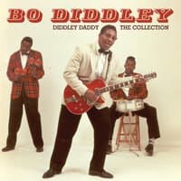 Diddley Daddy - The Collection