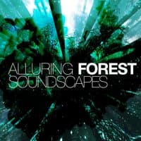 Alluring Forest Soundscapes