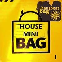 House MiniBag #1