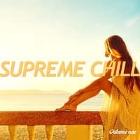 Supreme Chill, Vol. 1