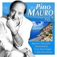 Pino mauro, vol. 1