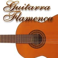 Guitarra flamenca Vol.2