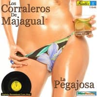 La Pegajosa