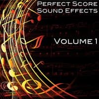 Perfect Score Sound Effects, Vol. 1