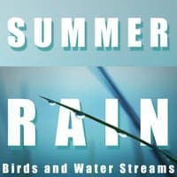 Summer Rain, Birds and Water Streams, Meditate and Relax