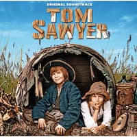 Tom Sawyer Band