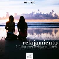 Relajamiento - Musica de Relajacion para Trabajar y Musica para Relajar el Estres