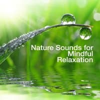 Nature Sounds for Mindful Relaxation