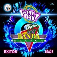 Exitos Vol. 1. Música de Guatemala para los Latinos (En Vivo)