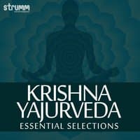 Krishna Yajurveda - Essential Selections