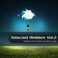 Selected Ambient, Vol.2