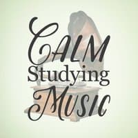 Calm Studying Music